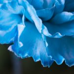 线上娱乐娱乐的优势:打破时间与空间的限制 kwnycb5