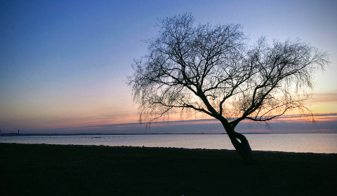 《FIFA 15》高清实况直播:绿茵豪门激战一触即发 《FIFA 15》高清实况直播:绿茵豪门激战一触即发